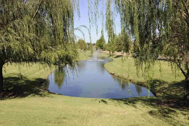 a view of a yard with plants and trees