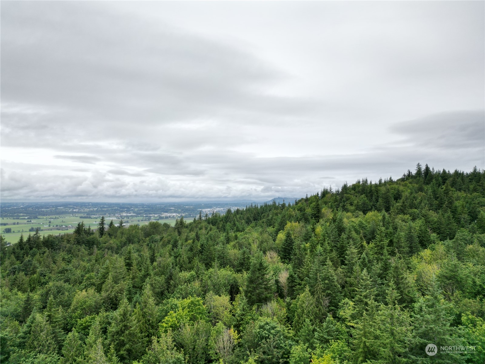 4300 Nordum Road Everson, WA 98247 - Photo 2 of 4 Gallery Image 2