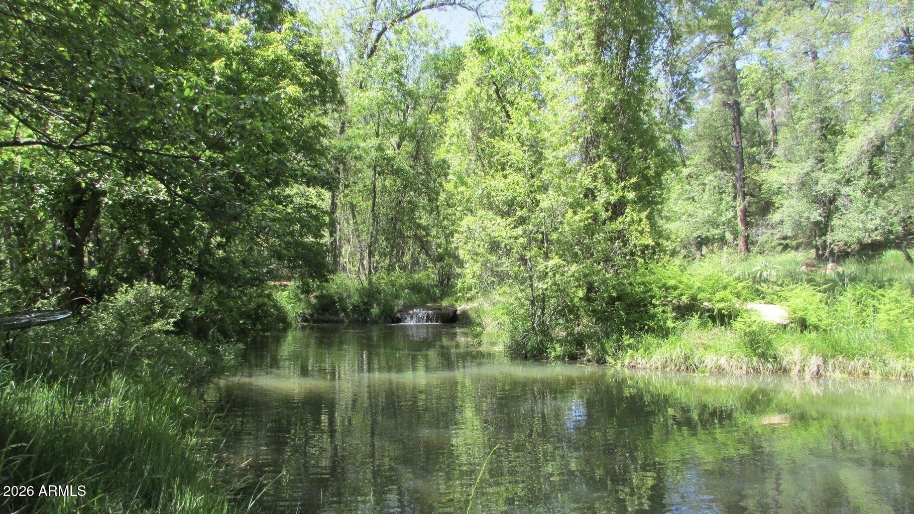 415 East Rim Estates Trail Payson, AZ 85541 - Photo 4 of 76 IMG_4331