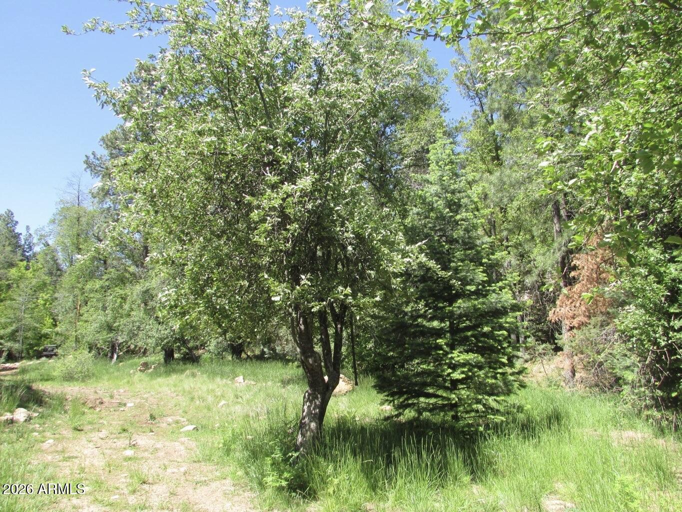 415 East Rim Estates Trail Payson, AZ 85541 - Photo 42 of 76 IMG_4274