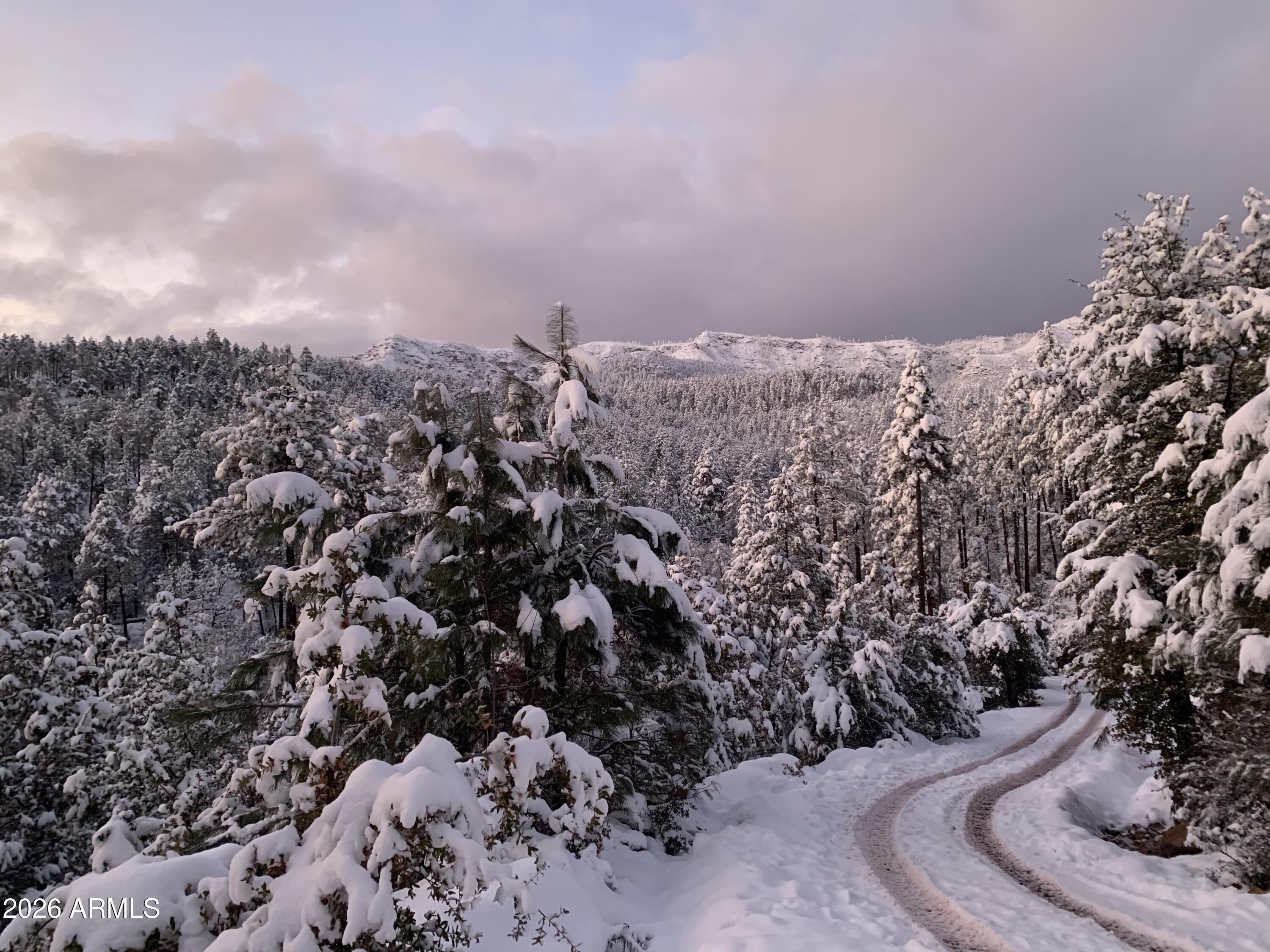 415 East Rim Estates Trail Payson, AZ 85541 - Photo 43 of 76 IMG_3717