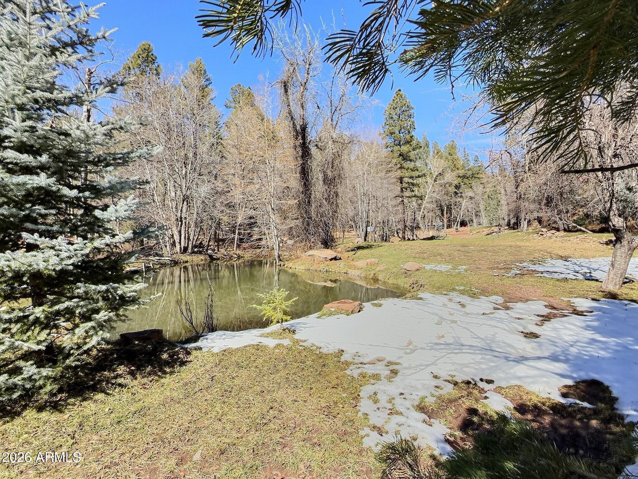 415 East Rim Estates Trail Payson, AZ 85541 - Photo 49 of 76 IMG_4337