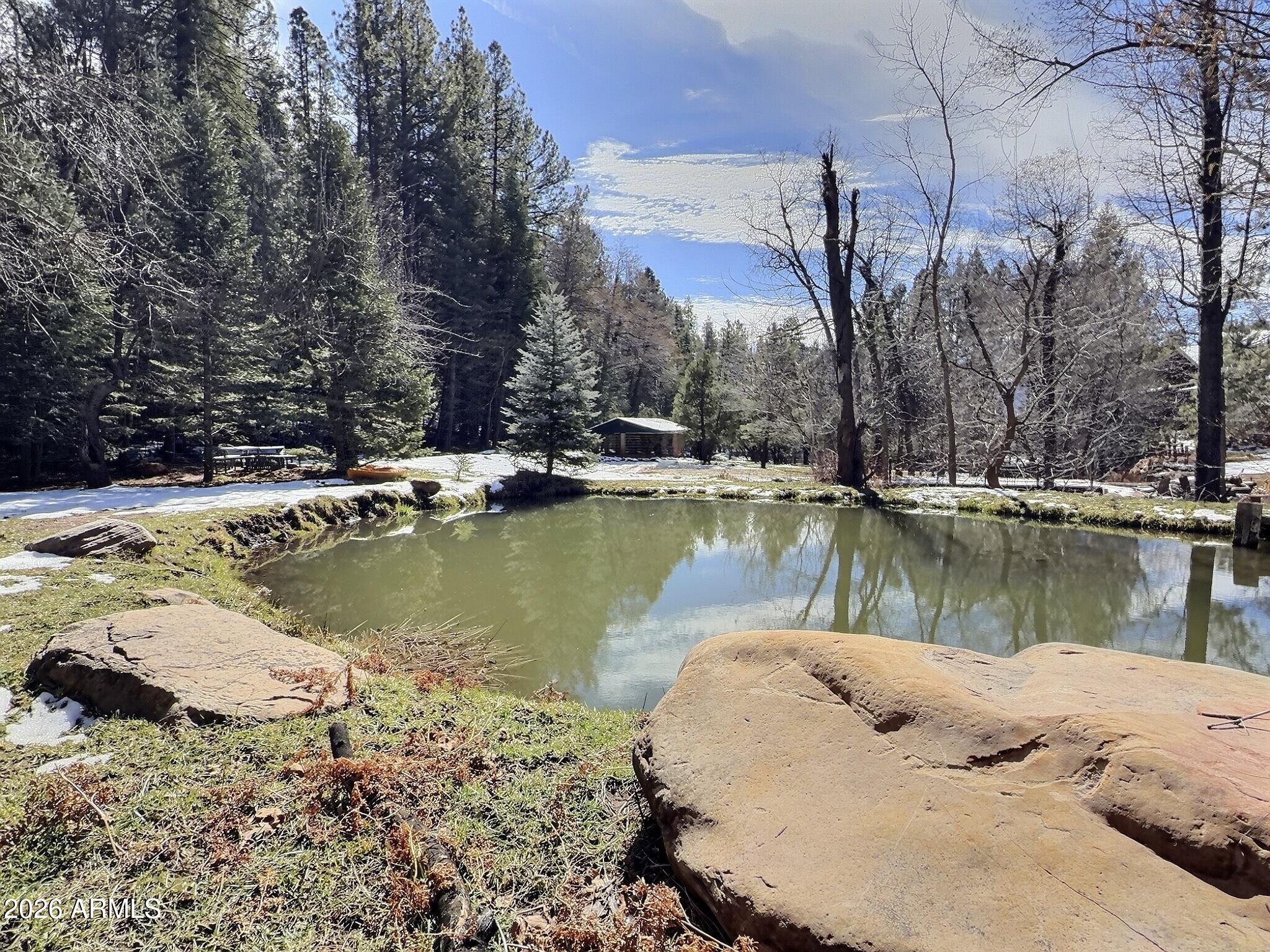 415 East Rim Estates Trail Payson, AZ 85541 - Photo 53 of 76 IMG_4340