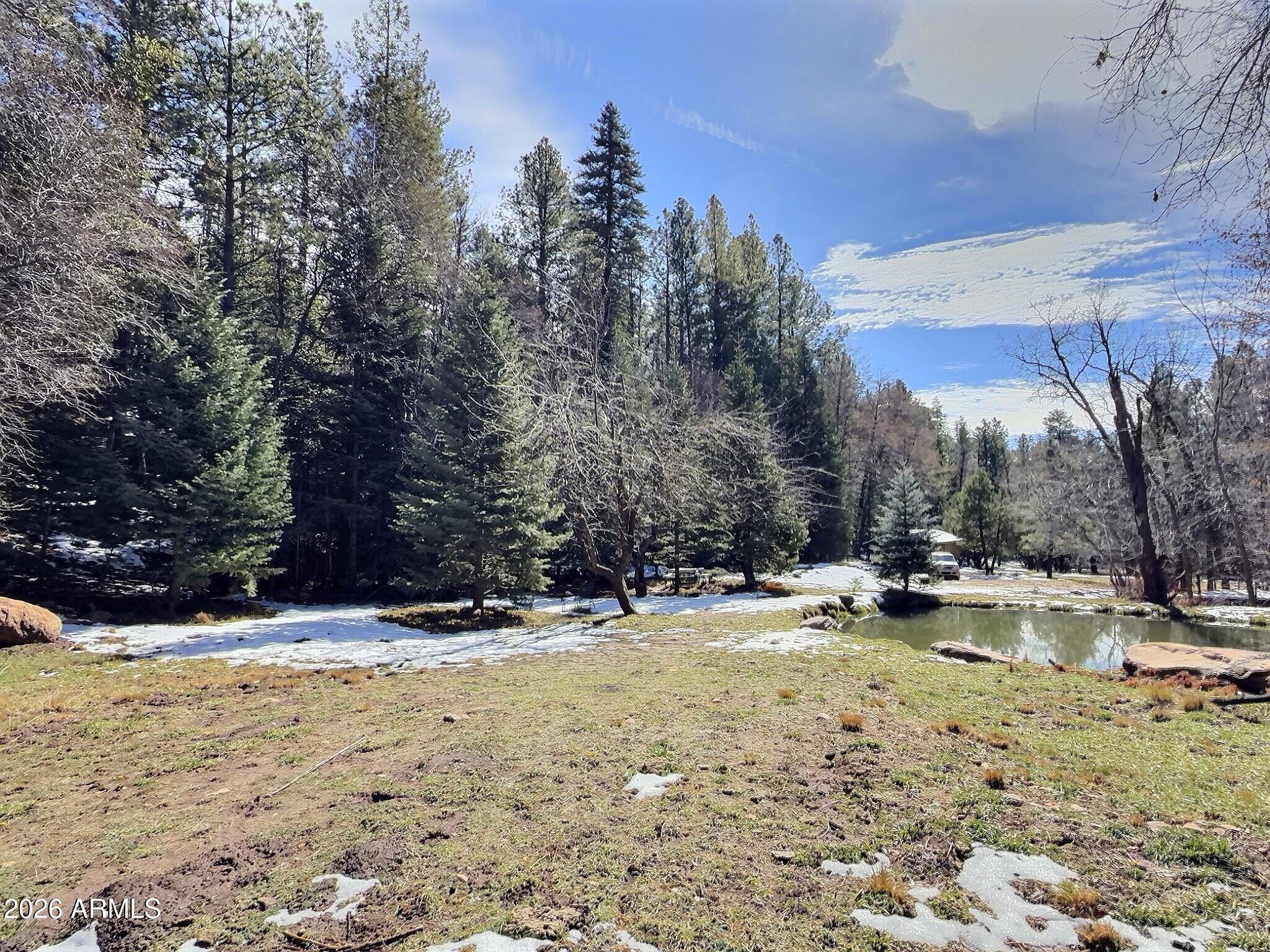 415 East Rim Estates Trail Payson, AZ 85541 - Photo 54 of 76 IMG_4341