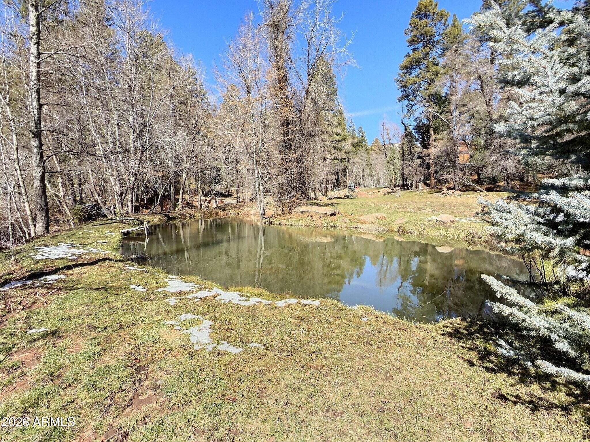 415 East Rim Estates Trail Payson, AZ 85541 - Photo 55 of 76 IMG_4342