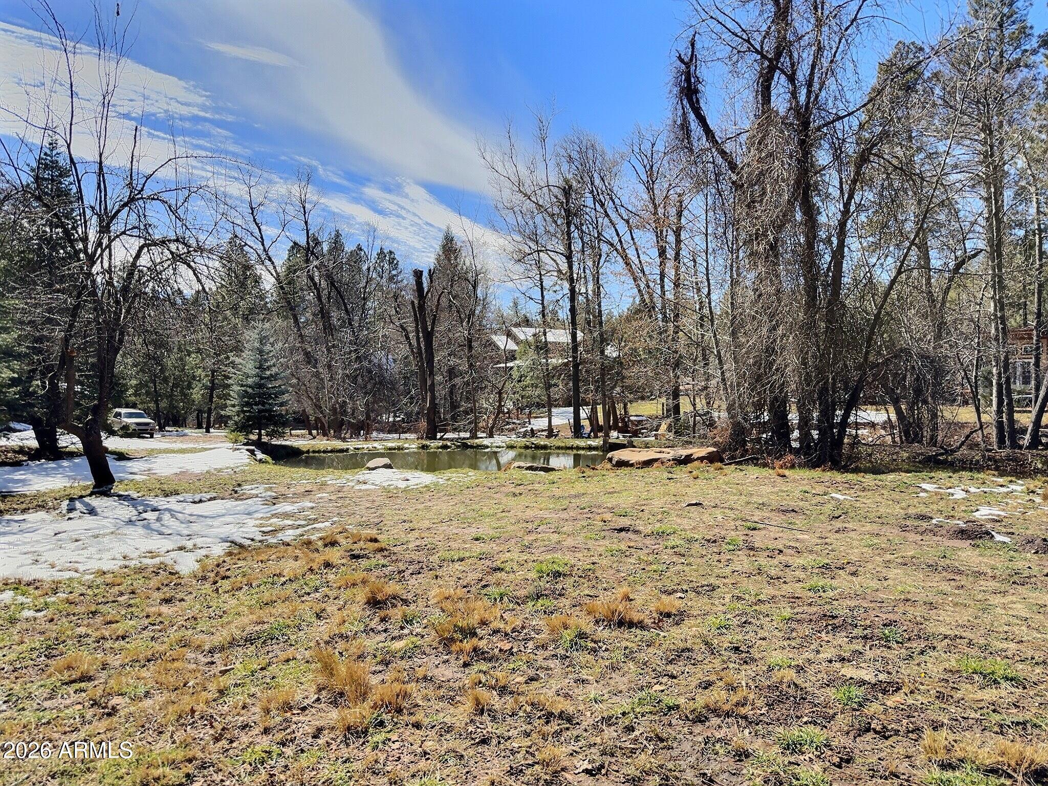 415 East Rim Estates Trail Payson, AZ 85541 - Photo 56 of 76 IMG_4343