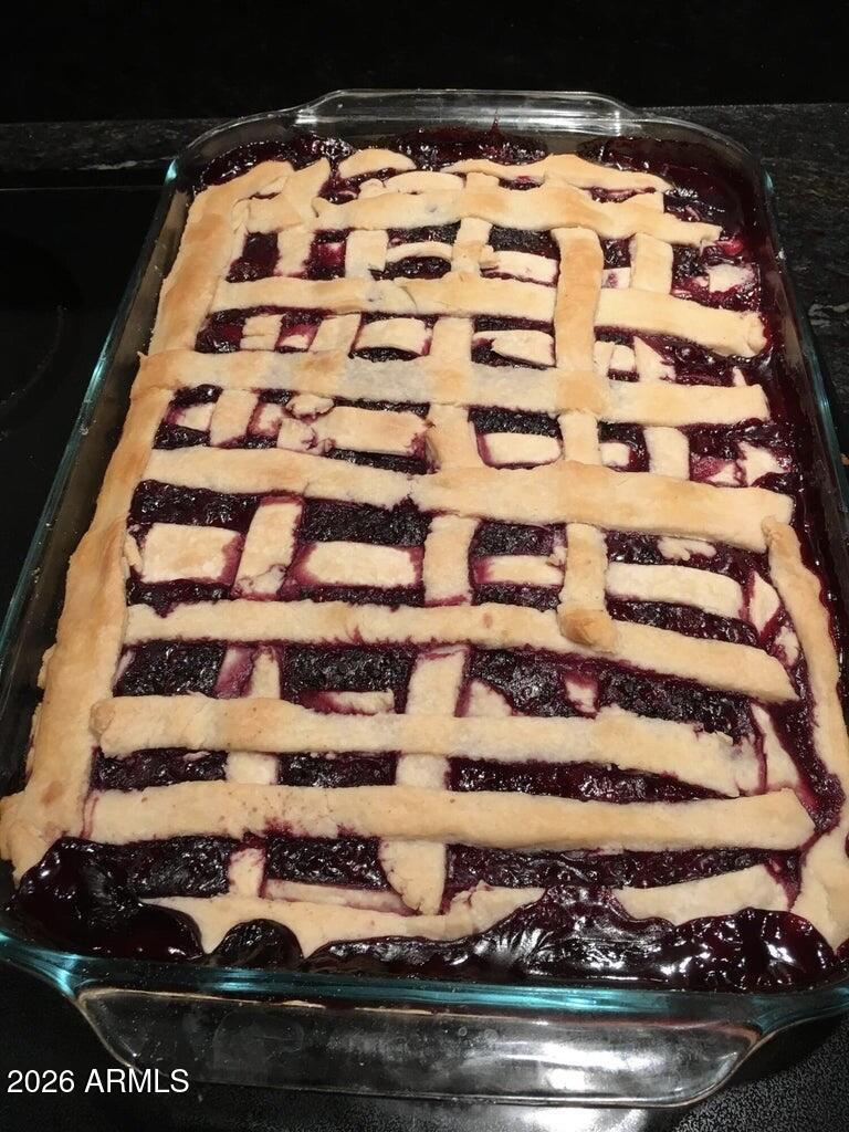 415 East Rim Estates Trail Payson, AZ 85541 - Photo 58 of 76 IMG_4271