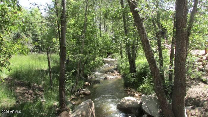 415 East Rim Estates Trail Payson, AZ 85541 - Photo 6 of 76 IMG_4269