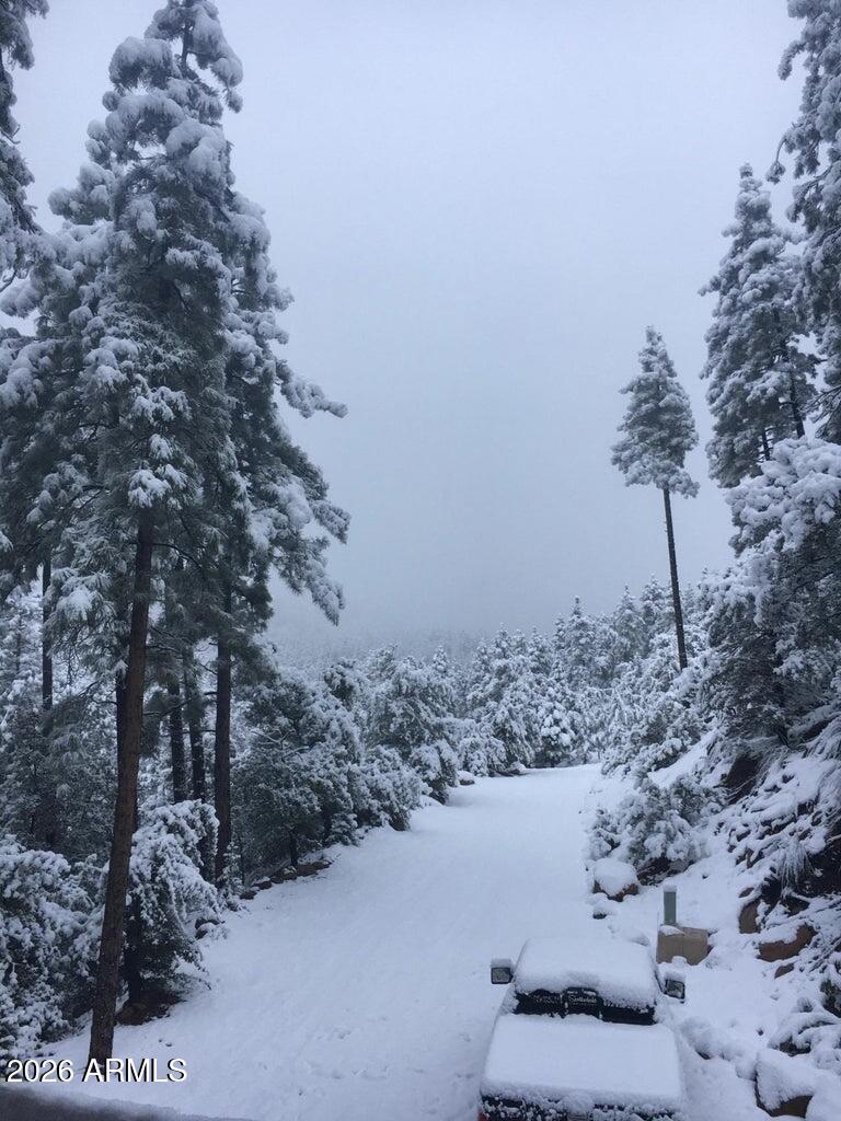 415 East Rim Estates Trail Payson, AZ 85541 - Photo 66 of 76 IMG_4319