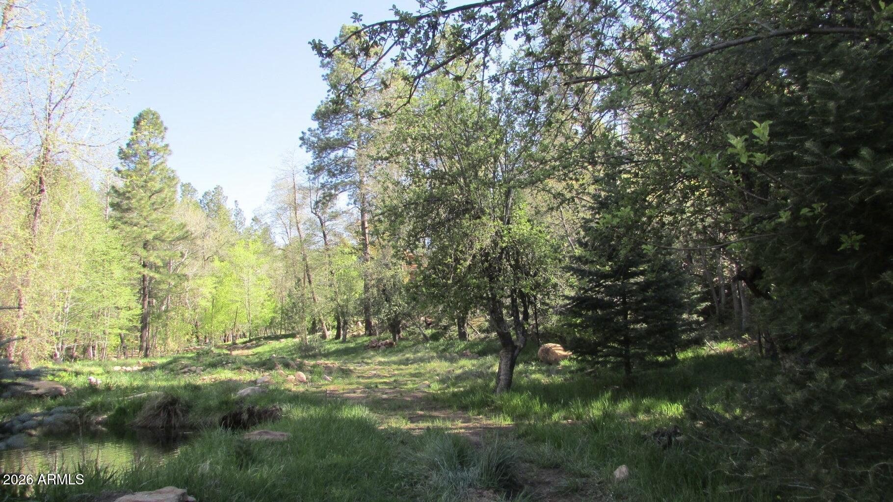 415 East Rim Estates Trail Payson, AZ 85541 - Photo 67 of 76 IMG_4320