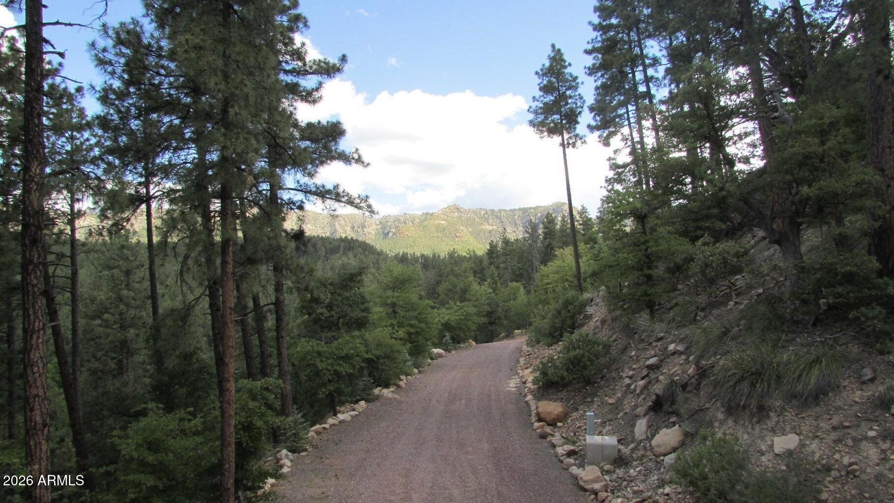 415 East Rim Estates Trail Payson, AZ 85541 - Photo 68 of 76 IMG_4321