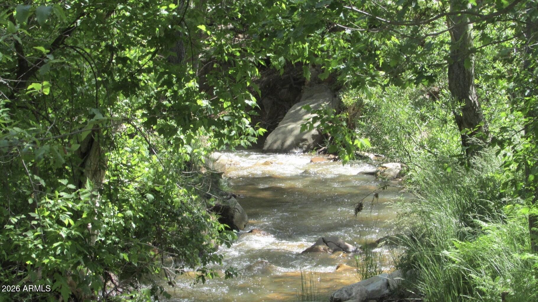 415 East Rim Estates Trail Payson, AZ 85541 - Photo 73 of 76 IMG_4329