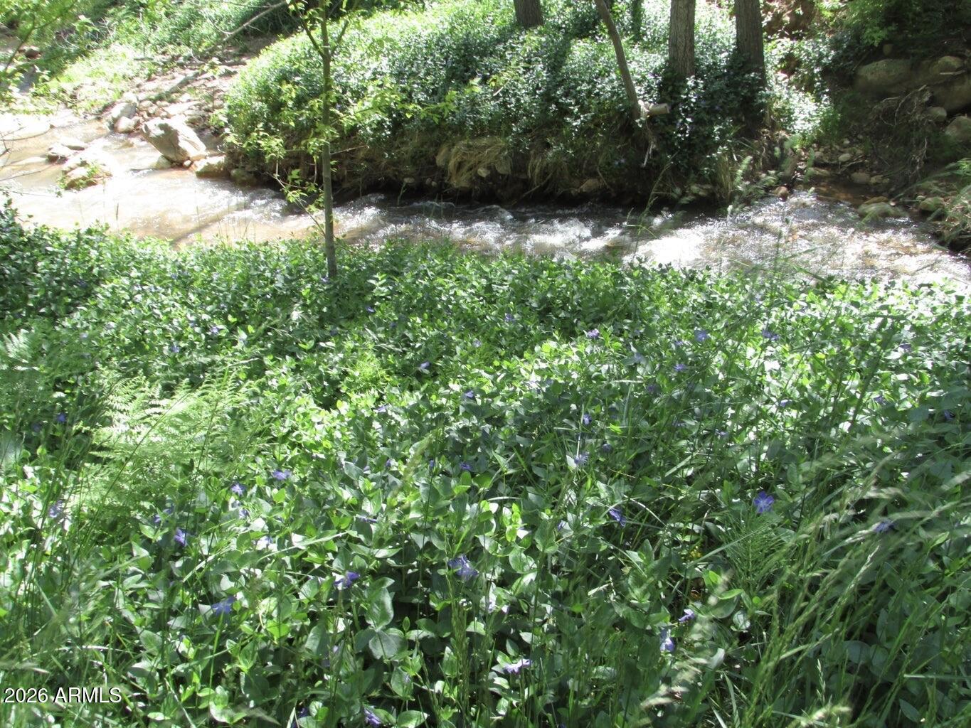 415 East Rim Estates Trail Payson, AZ 85541 - Photo 74 of 76 IMG_4330