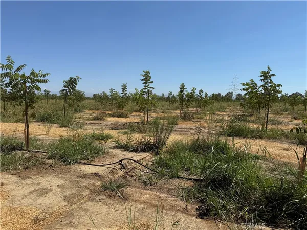 $500,000 | 0 Mary Avenue, Corning, CA 96021