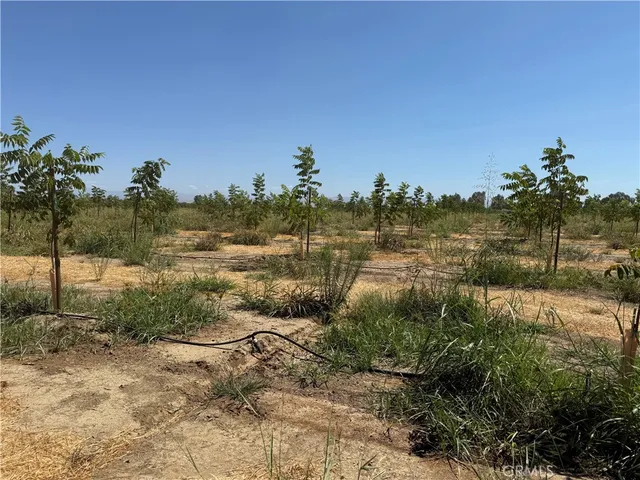 $550,000 | 0 Mary Avenue, Corning, CA 96021