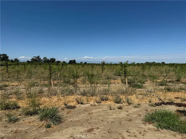 $500,000 | 0 Mary Avenue, Corning, CA 96021