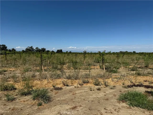 $550,000 | 0 Mary Avenue, Corning, CA 96021