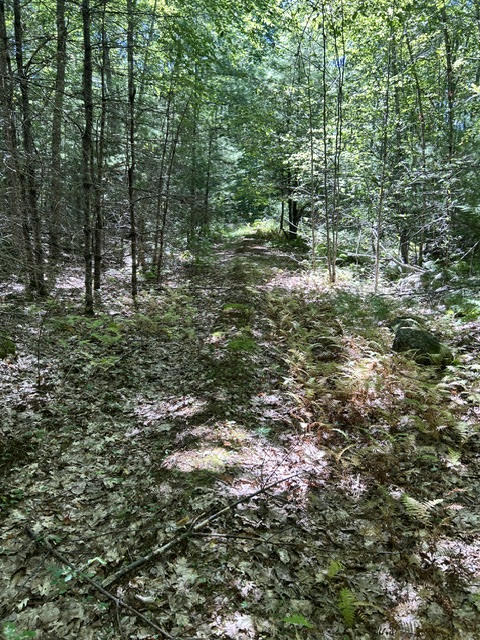 56 South Waterboro Road Lyman, ME 04002 - Photo 6 of 10 Pic-6