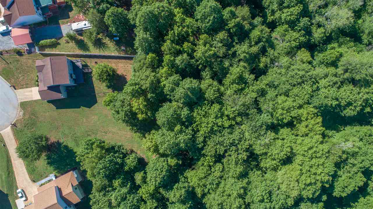329 Cane Pole Walk Inman, SC 29349 - Photo 4 of 29