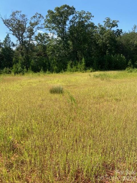 790 Hatchett Road Lincolnton, NC 28092 - Photo 5 of 16 Gallery Image 5