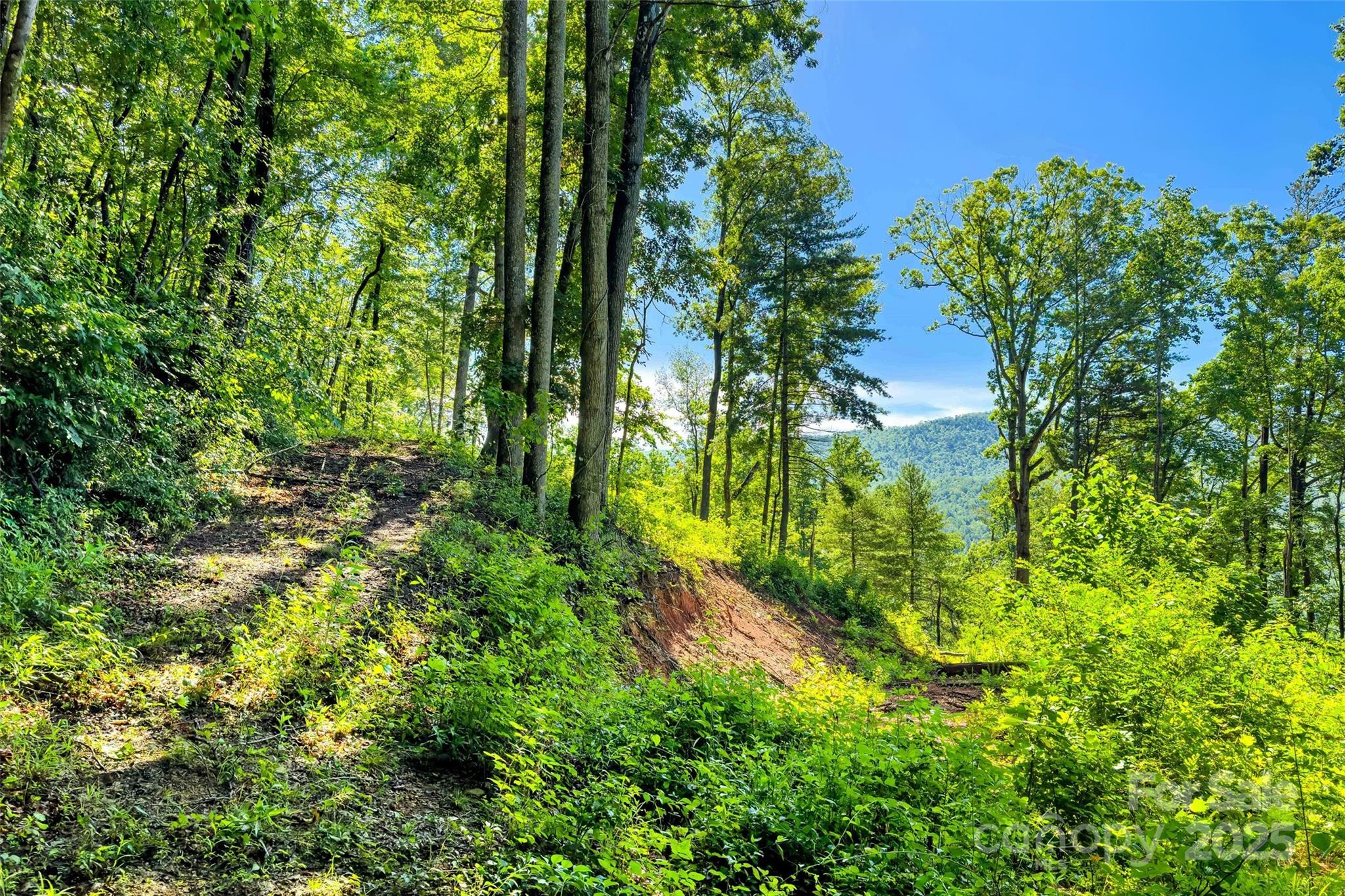 Lot #76 Hunnicut Spur Road Marion, NC 28752 - Photo 11 of 28 a view of a garden