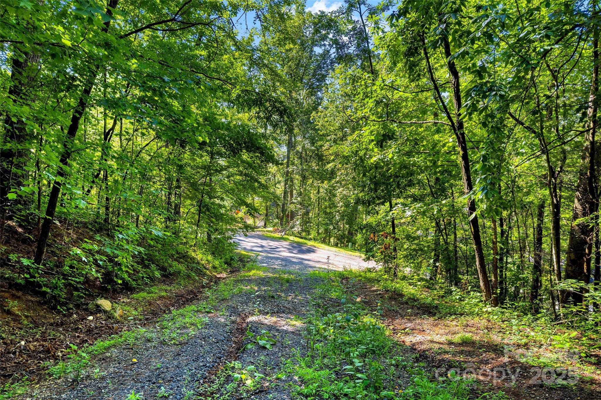 Lot #76 Hunnicut Spur Road Marion, NC 28752 - Photo 2 of 28 a view of outdoor space and trees all around