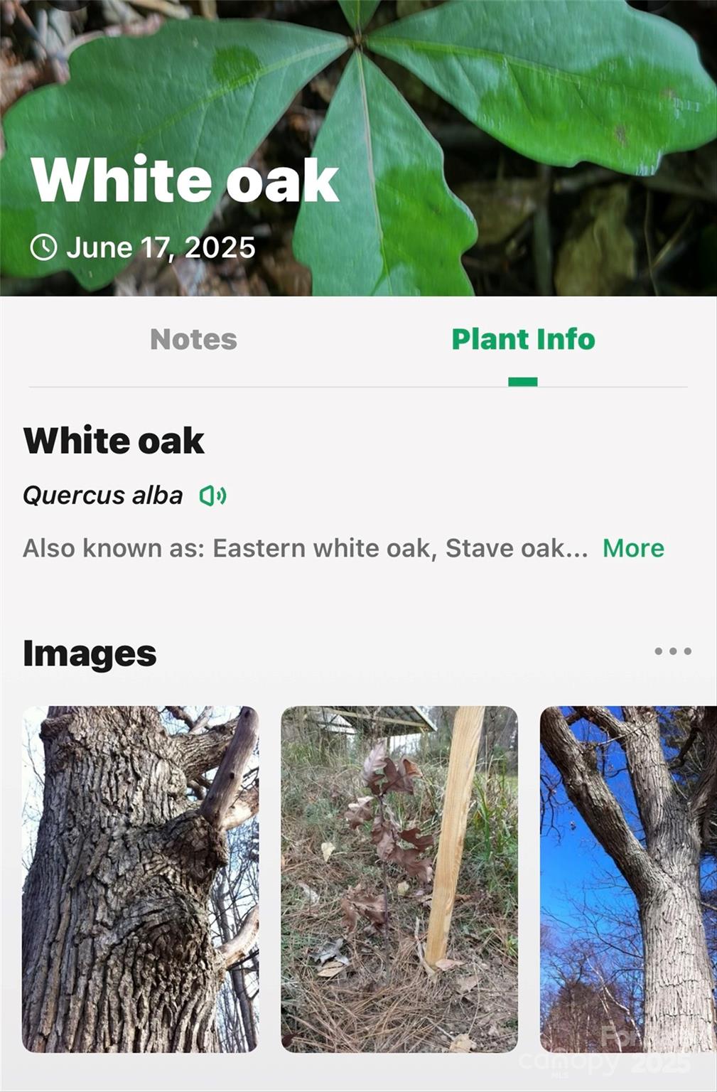 Lot #76 Hunnicut Spur Road Marion, NC 28752 - Photo 21 of 28 a picture of a book and a garden