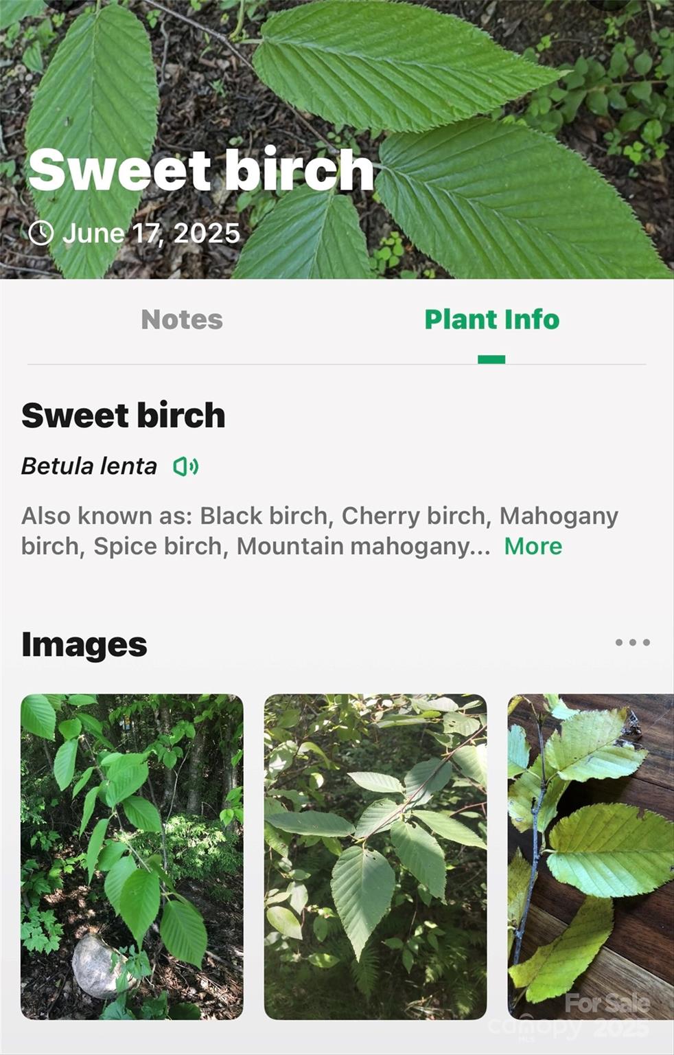 Lot #76 Hunnicut Spur Road Marion, NC 28752 - Photo 27 of 28 a picture of a book and a yard