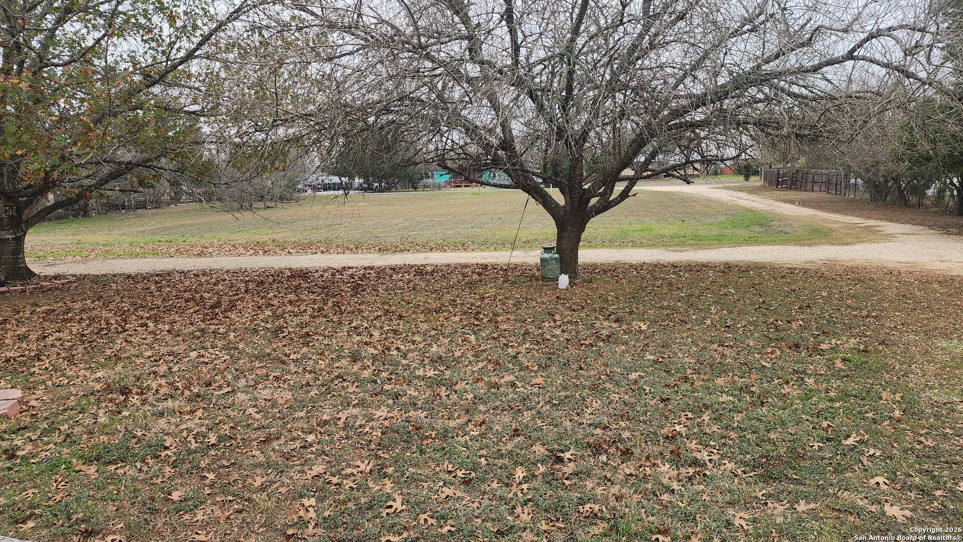 449 Hurst Lane Seguin, TX 78155 - Photo 17 of 28 a view of a yard with a tree