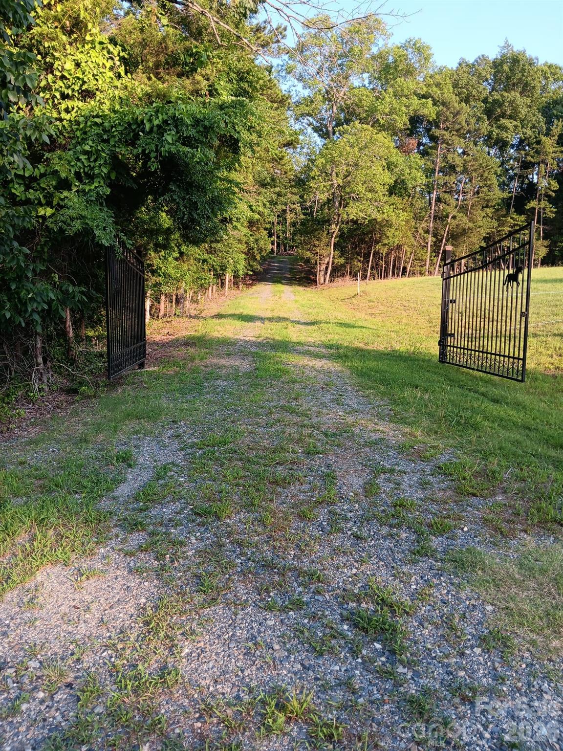 11610 Brief Road, Unit 2 Charlotte, NC 28227 - Photo 2 of 16 a view of yard with tree
