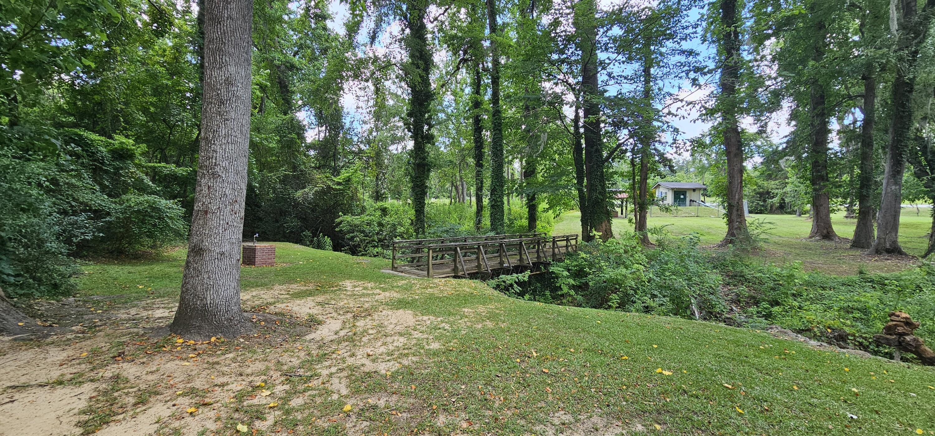 651 Hardware Street Elloree, SC 29047 - Photo 44 of 48