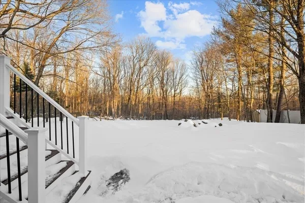 a view of a yard with trees in the background