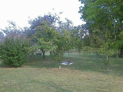 410 Schuler Road Waynesburg, KY 40489 - Photo 4 of 10 Photo 4