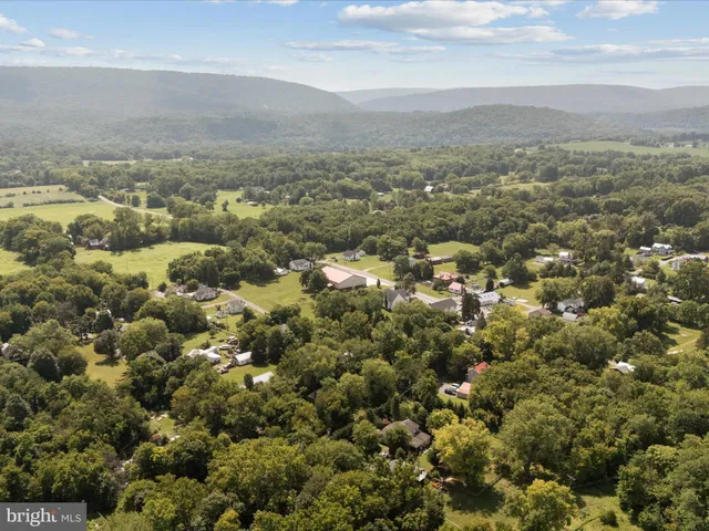 an aerial view of forest