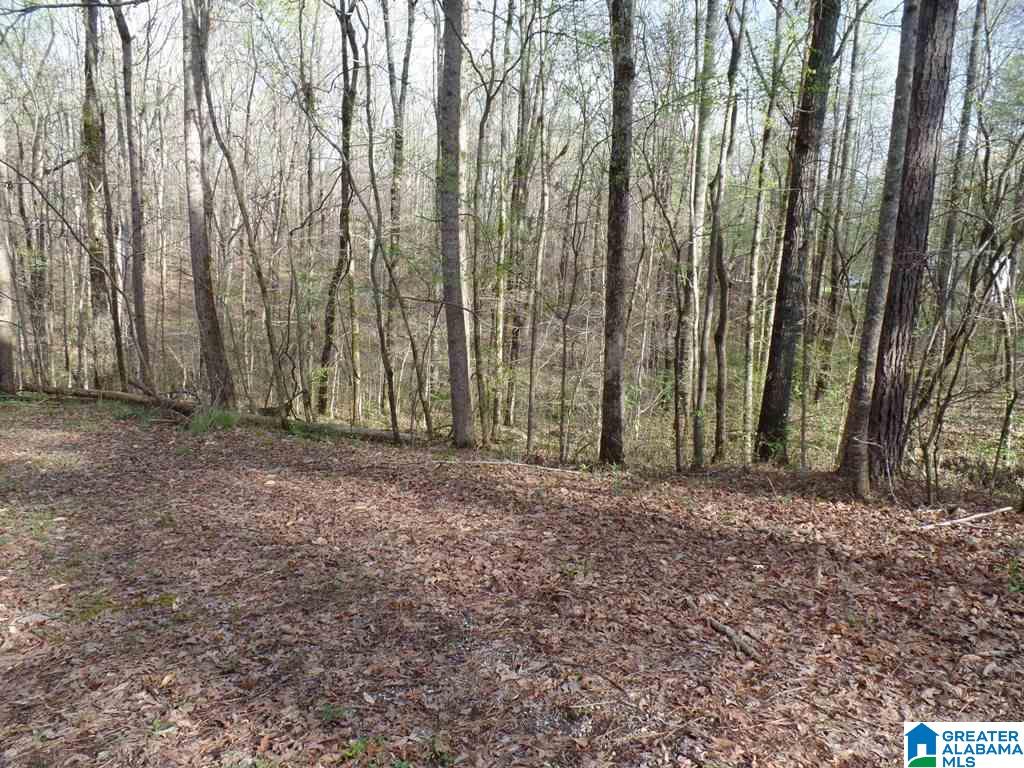 Azalea Street, Unit 2 51 Heflin, AL 36264 - Photo 8 of 14