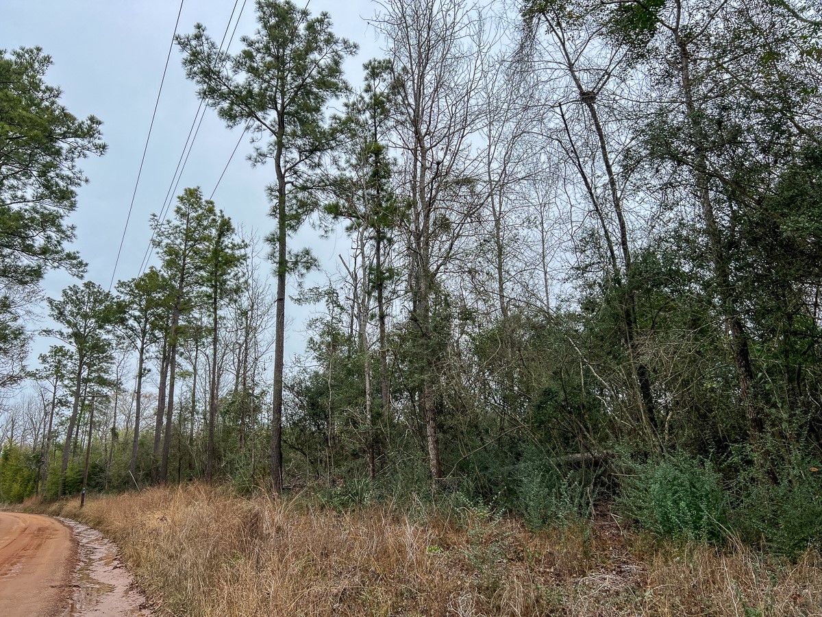 3 Fm 2626 Newton, TX 75966 - Photo 12 of 16