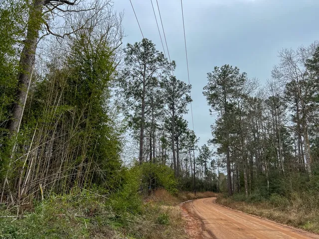 $123,750 | 3 Fm 2626, Newton, TX 75966