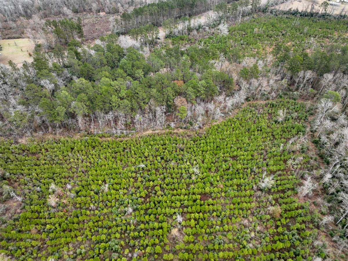 3 Fm 2626 Newton, TX 75966 - Photo 2 of 16