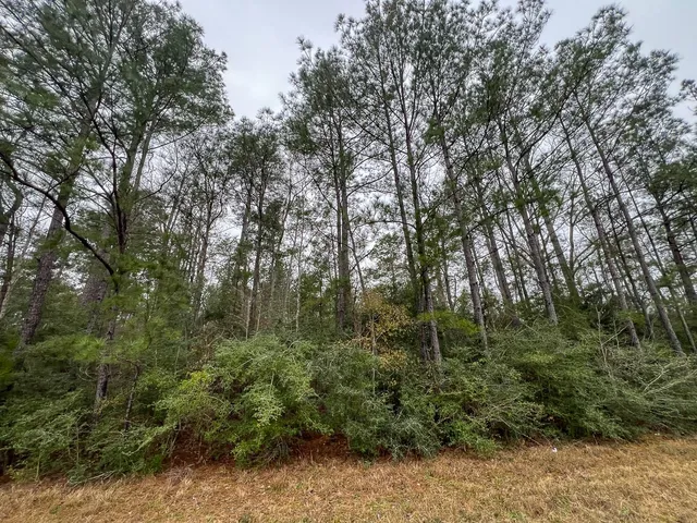 $123,750 | 3 Fm 2626, Newton, TX 75966