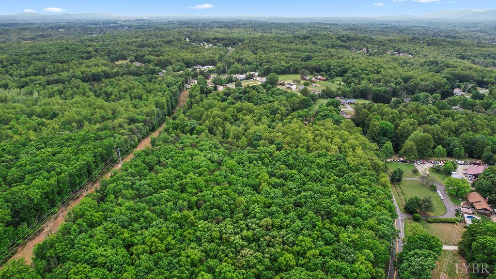 0 South Coolwell Road Madison Heights, VA 24572 - Photo 11 of 15