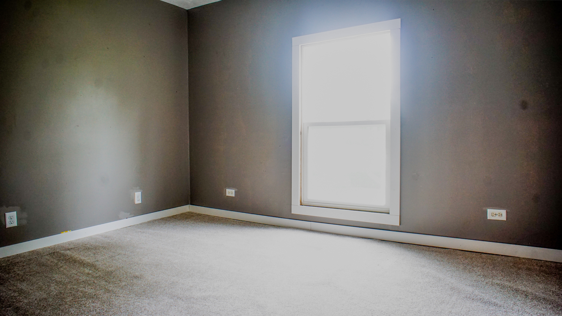 136 West Richton Road Steger, IL 60475 - Photo 9 of 12 Gallery Image 9