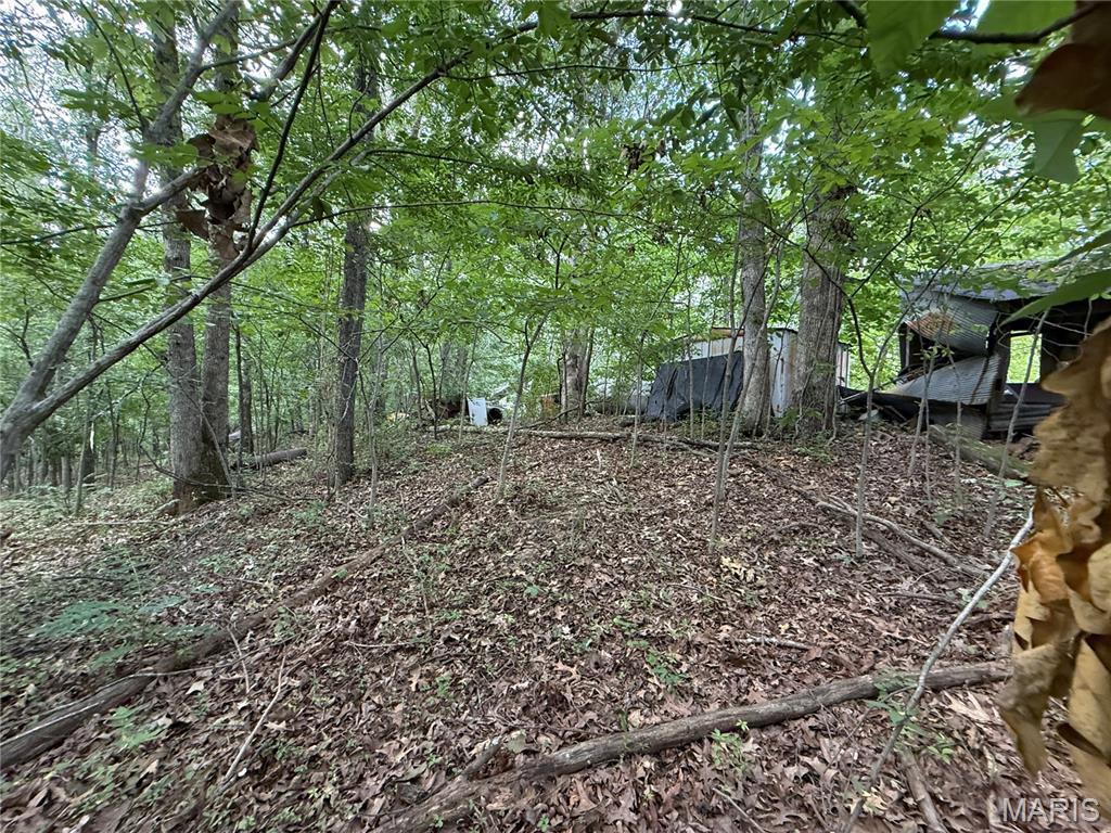1133 Union School Road Ava, IL 62907 - Photo 38 of 46