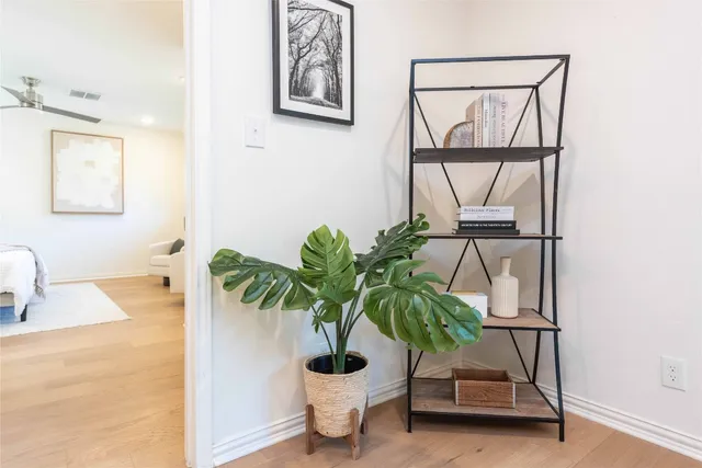 a potted plant sitting next to a window