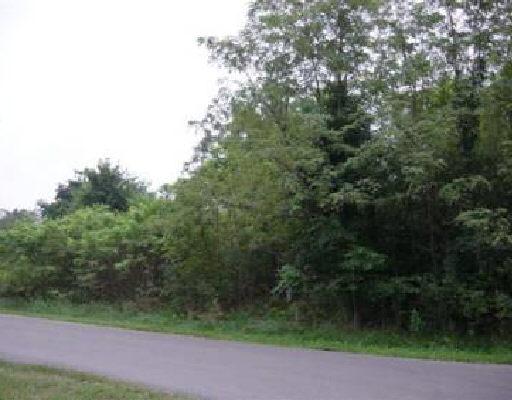 Lot 126 High Point Road Moneta, VA 24121 - Photo 3 of 4 Listing Photo