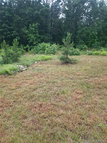 $30,000 | 652 Highway Ww Salem Mo 65560, Salem, MO 65560