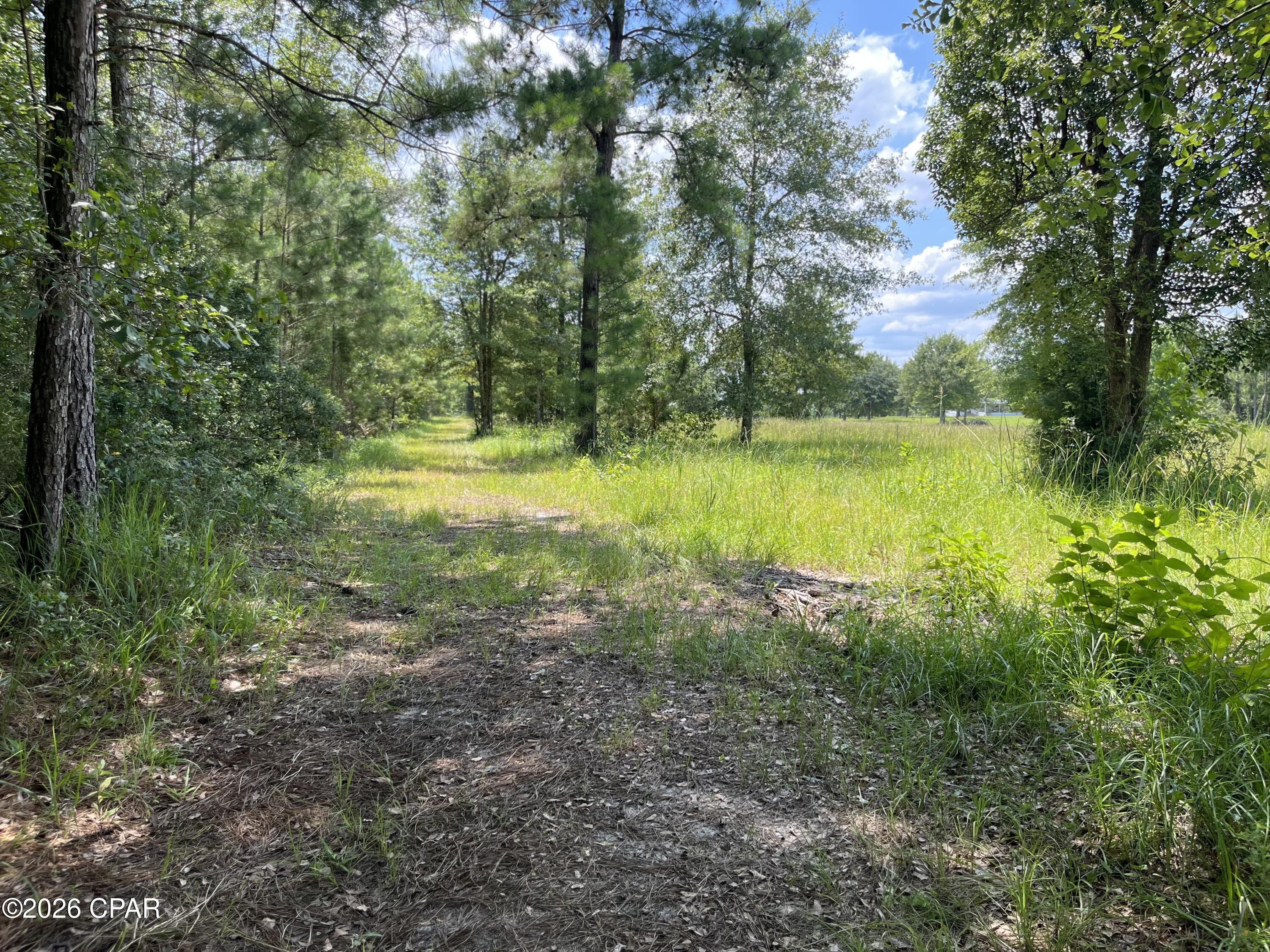 0 Gotcha Road Marianna, FL 32448 - Photo 12 of 19