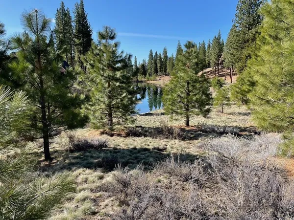 $32,500 | 328 Blacktail Ridge, Portola, CA 96122