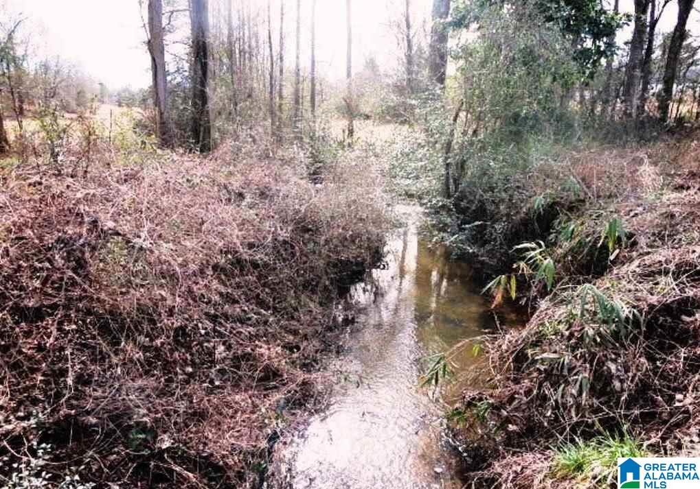 853 Bailey Road Cragford, AL 36255 - Photo 26 of 39