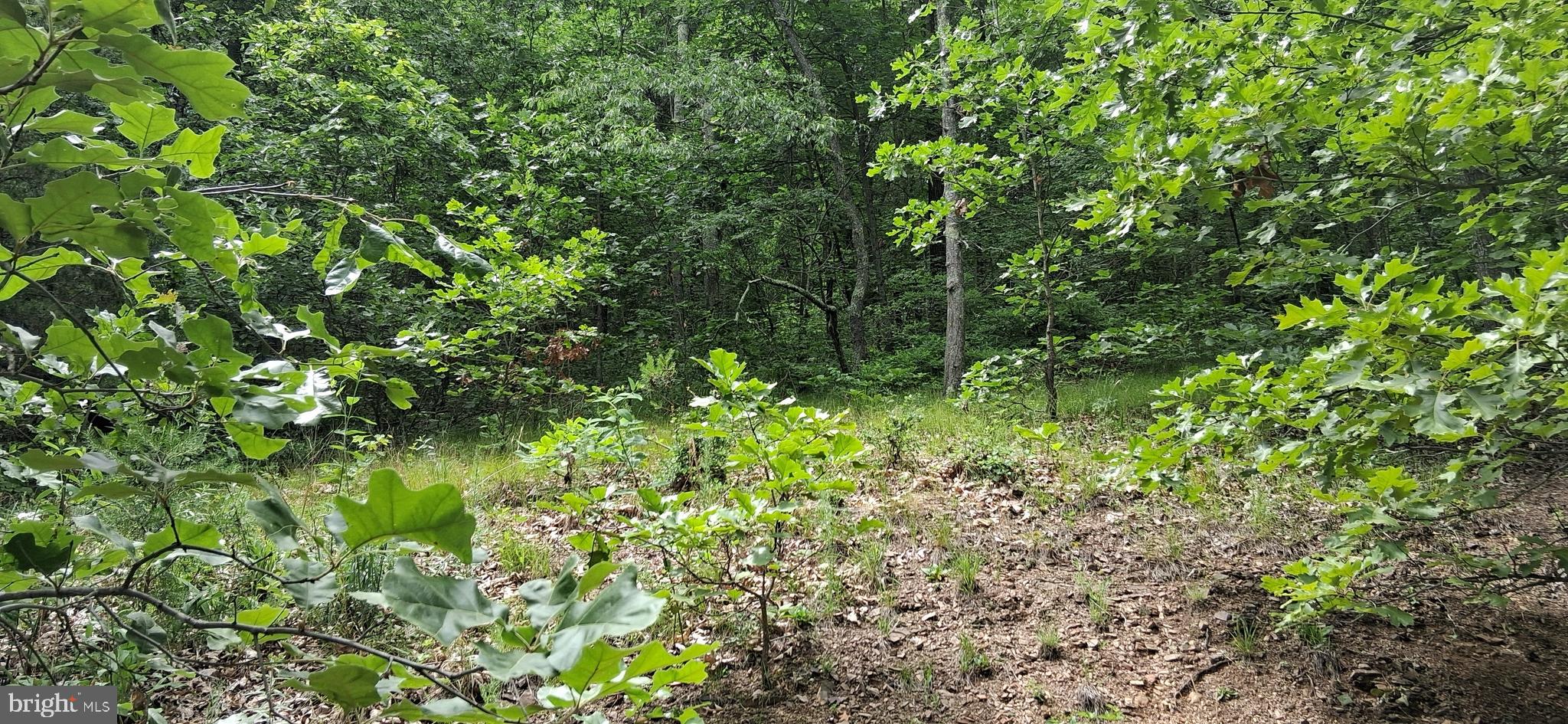 234 Coastline Road Clearville, PA 15535 - Photo 14 of 39