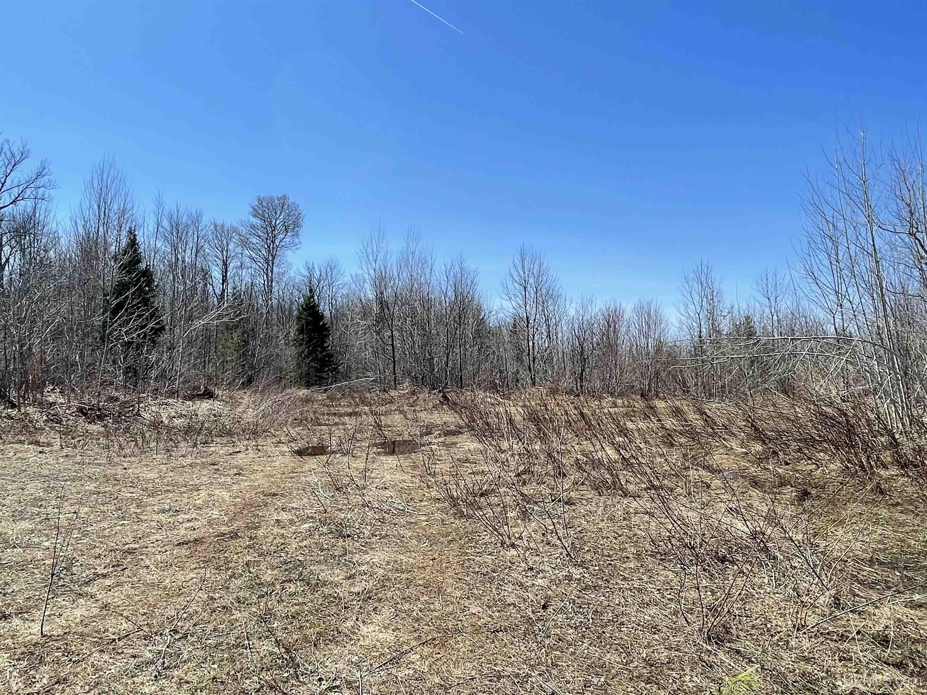 Tbd North County 519 Road Wakefield, MI 49968 - Photo 10 of 18